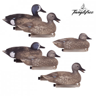 Tanglefree Blue Winged 12" Teal Decoys 2D/4H (Pk/6)