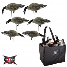 Avian-X AXP Feeder Lessers w/6 Slot Bag (Pk/6)