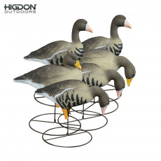 Higdon Full-Size Full-Body Variety Pack Specklebelly Decoys (6-Pack)