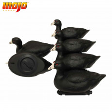 MOJO Coot Confidence Decoy (6-Pack)