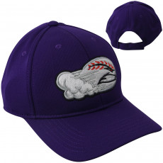 Official MiLB Performance Cap- Winston-Salem Dash